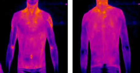 为躯干和上肢的红外热像仪图